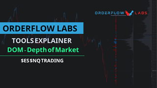 Trading with the DOM (Depth of Market)